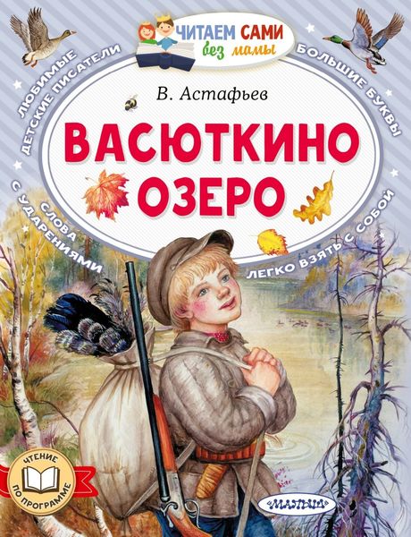 Обложка книги  «Васюткино озеро»
