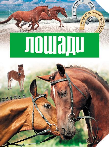 Обложка книги  «Лошади»