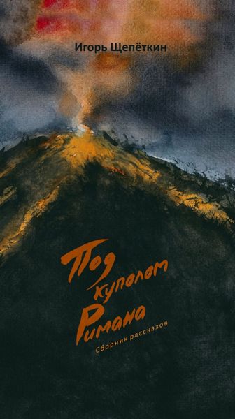 Обложка книги  «Под куполом Римана»