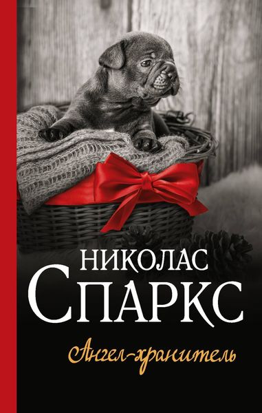 Обложка книги  «Ангел-хранитель»