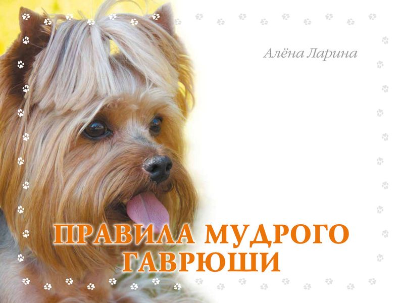Обложка книги  «Правила мудрого Гаврюши»