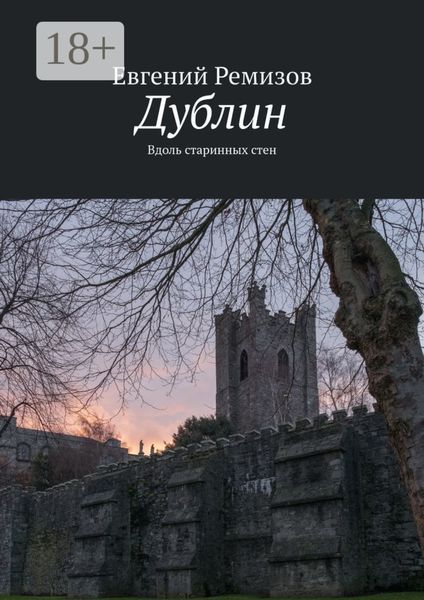 Обложка книги  «Дублин. Вдоль старинных стен»