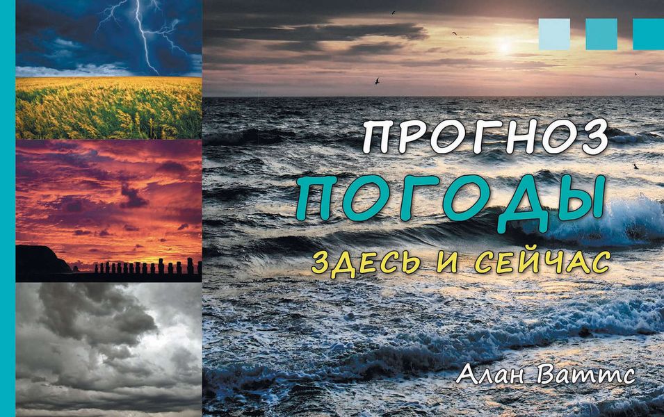 Обложка книги  «Прогноз погоды здесь и сейчас. Справочник»