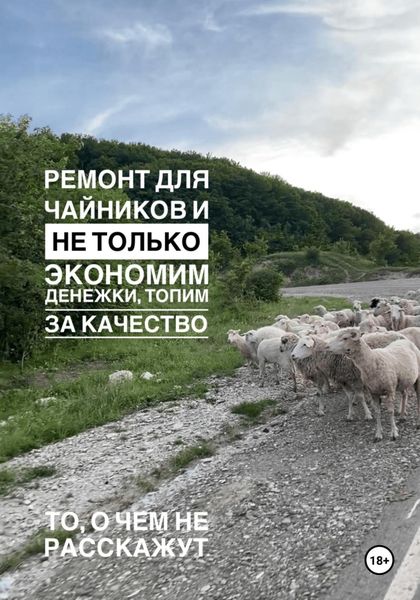 Обложка книги  «Ремонт для чайников и не только. Экономим денежки, топим за качество. Гайд»