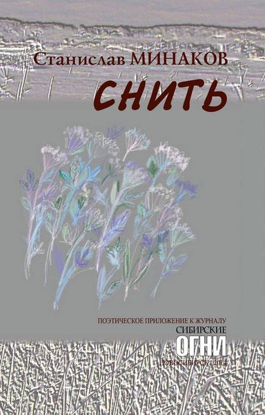 Обложка книги  «Снить»