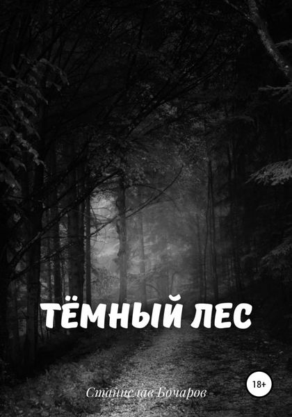 Обложка книги  «Тёмный лес»