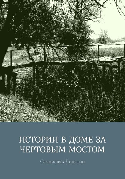 Обложка книги  «Истории в доме за Чертовым мостом»