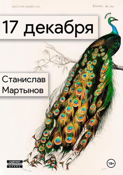 Обложка книги «17 декабря»