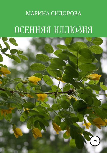 Обложка книги  «Осенняя иллюзия»