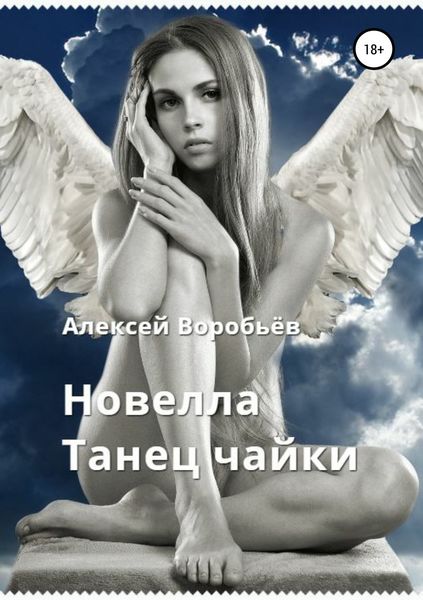 Обложка книги  «Танец чайки»