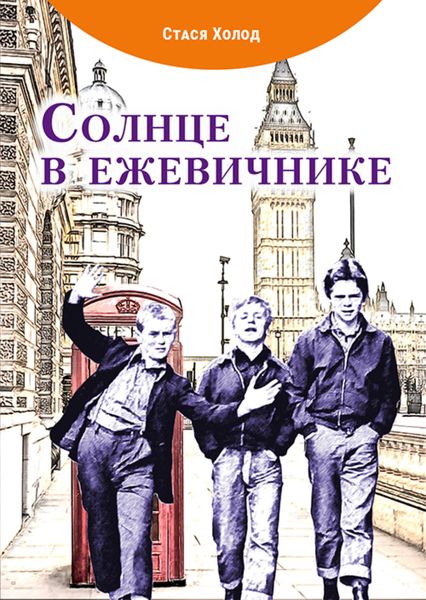 Обложка книги  «Солнце в ежевичнике»