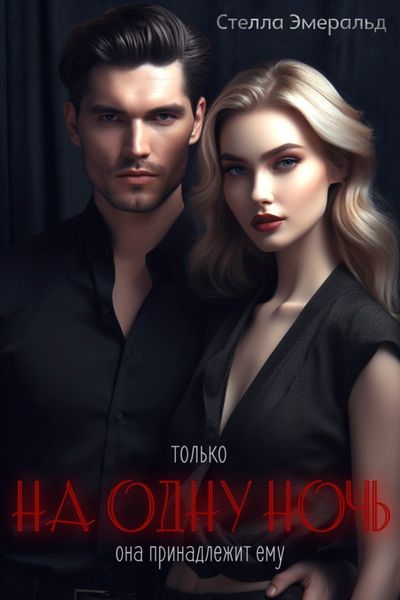 Обложка книги  «На одну ночь»