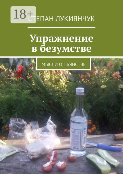 Обложка книги «Упражнение в безумстве. Мысли о пьянстве»