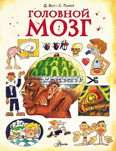 Обложка книги «Головной мозг»