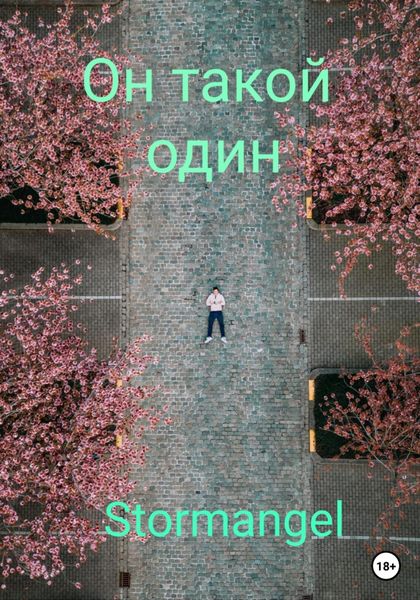 Обложка книги  «Он такой один»