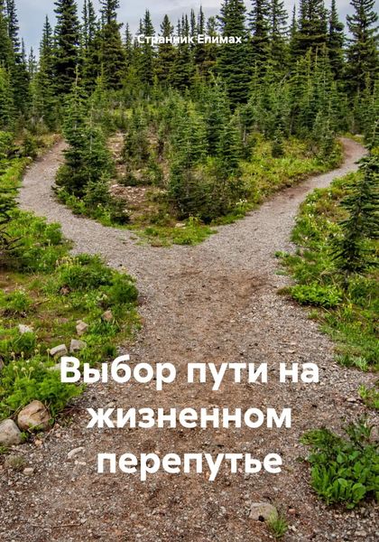 Обложка книги  «Выбор пути на жизненном перепутье»