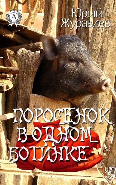 Обложка книги  «Поросенок в одном ботинке»