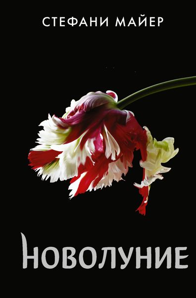 Обложка книги  «Новолуние»