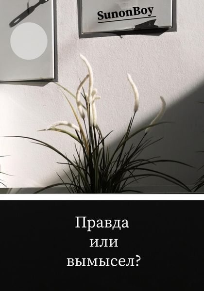 Обложка книги «Правда или вымысел?»