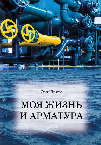 Обложка книги «Моя жизнь и арматура»