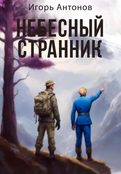 Обложка книги  «Небесный странник»