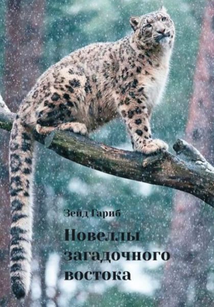 Обложка книги  «Новеллы загадочного востока»