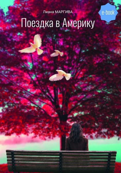 Обложка книги  «Поездка в Америку»