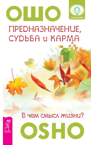 Обложка книги  «Предназначение, судьба и карма. В чем смысл жизни?»