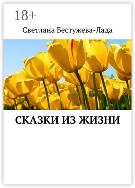 Обложка книги «Сказки из жизни»