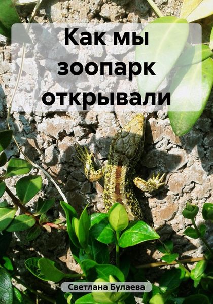 Обложка книги  «Как мы зоопарк открывали»