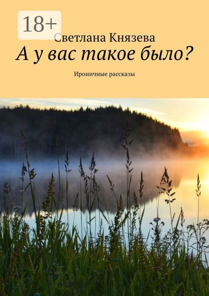 Обложка книги «А у вас такое было? Ироничные рассказы»