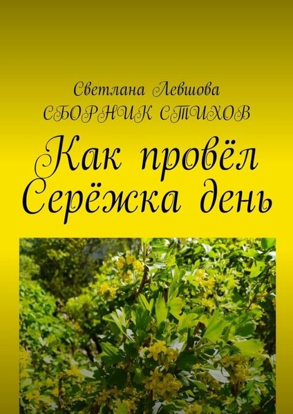 Обложка книги «Как провёл Серёжка день»