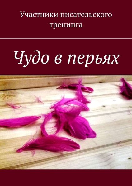 Обложка книги «Чудо в перьях. Сборник серьезных и сказочных историй»