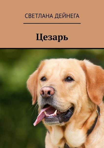 Обложка книги «Цезарь. В поисках хозяина»