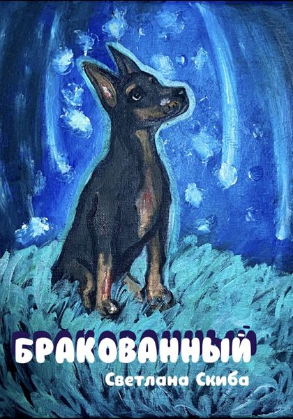 Обложка книги  «Бракованный»