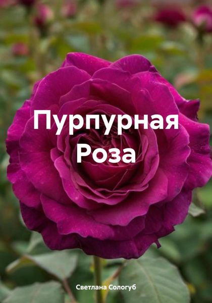 Обложка книги «Пурпурная Роза»