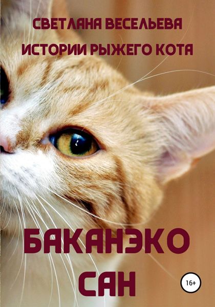 Обложка книги «Баканэко сан»