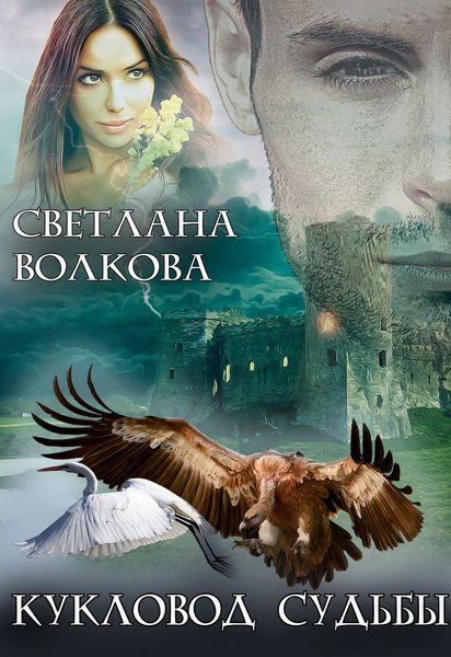 Обложка книги  «Кукловод судьбы»