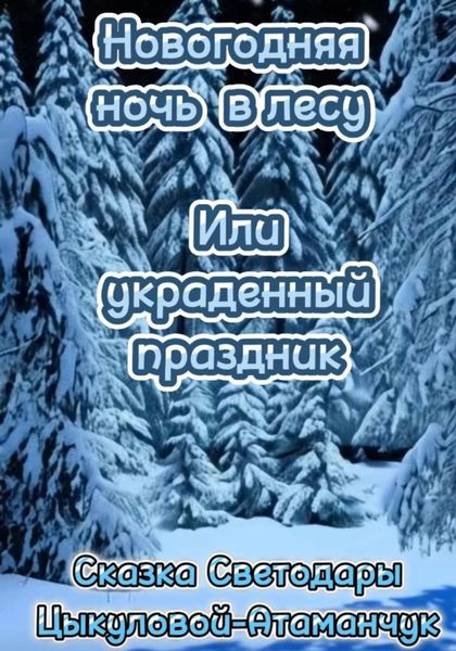 Обложка книги «Новогодняя ночь в лесу или украденный праздник»