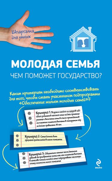 Обложка книги «Молодая семья: чем поможет государство?»