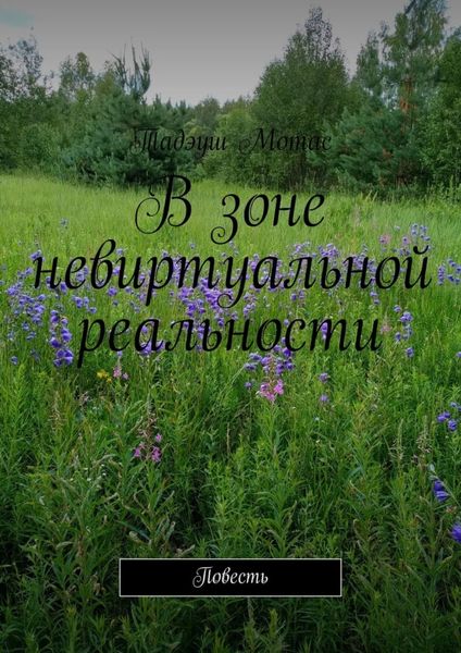 Обложка книги «В зоне невиртуальной реальности. Повесть»
