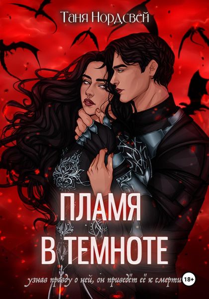 Обложка книги  «Пламя в темноте»