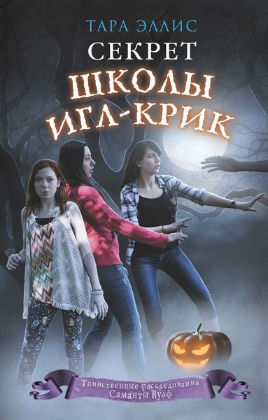 Обложка книги «Секрет школы Игл-Крик»