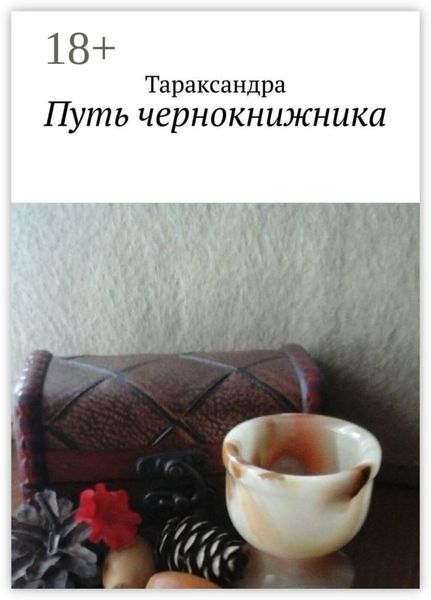Обложка книги  «Путь чернокнижника»