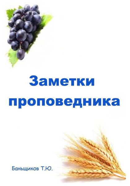 Обложка книги  «Заметки проповедника»
