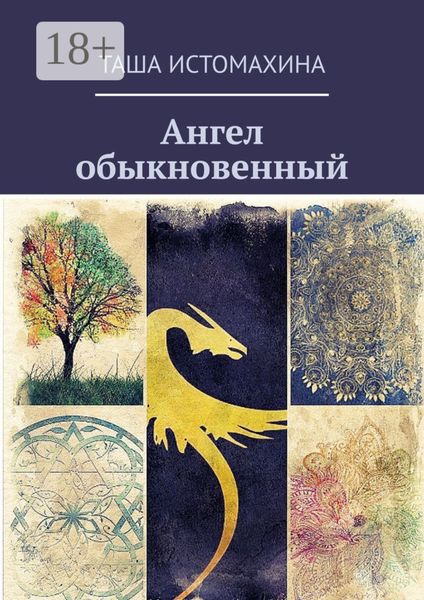 Обложка книги «Ангел обыкновенный»