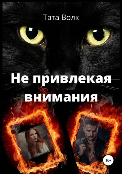 Обложка книги «Не привлекая внимания»