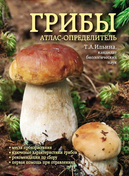 Обложка книги «Грибы. Атлас-определитель»
