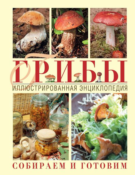 Обложка книги «Грибы. Иллюстрированная энциклопедия. Собираем и готовим»