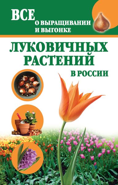 Обложка книги «Все о выращивании и выгонке луковичных растений в России»